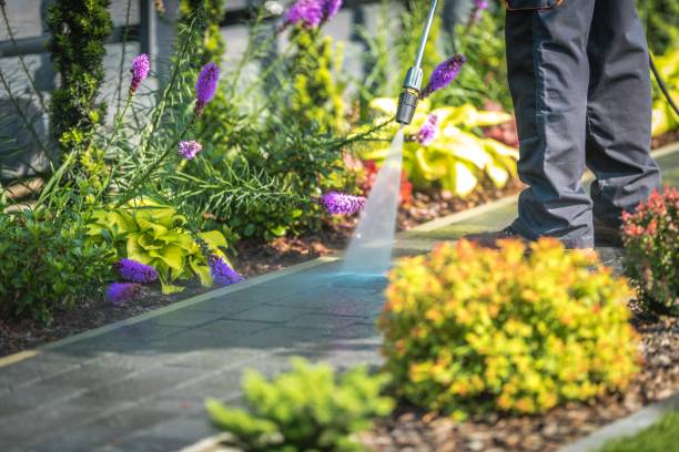 Best Pool Deck Cleaning  in Goleta, CA